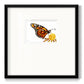 Wings I - Double Matboard Framed Print