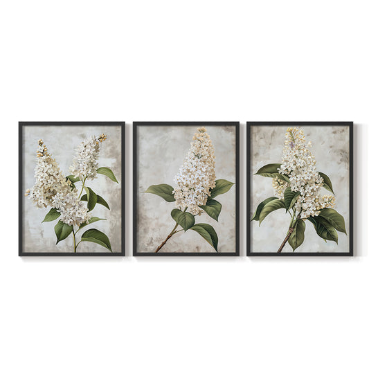 Floral Study Series LXXXVII - Restickable Framed Art Set