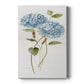 Petite Blue Hydrangea II Premium Gallery Wrapped Canvas - Ready to Hang