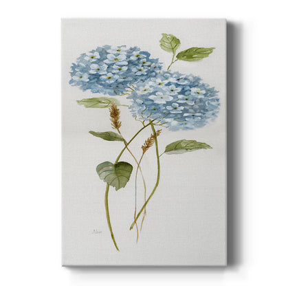 Petite Blue Hydrangea II - Canvas Art Print