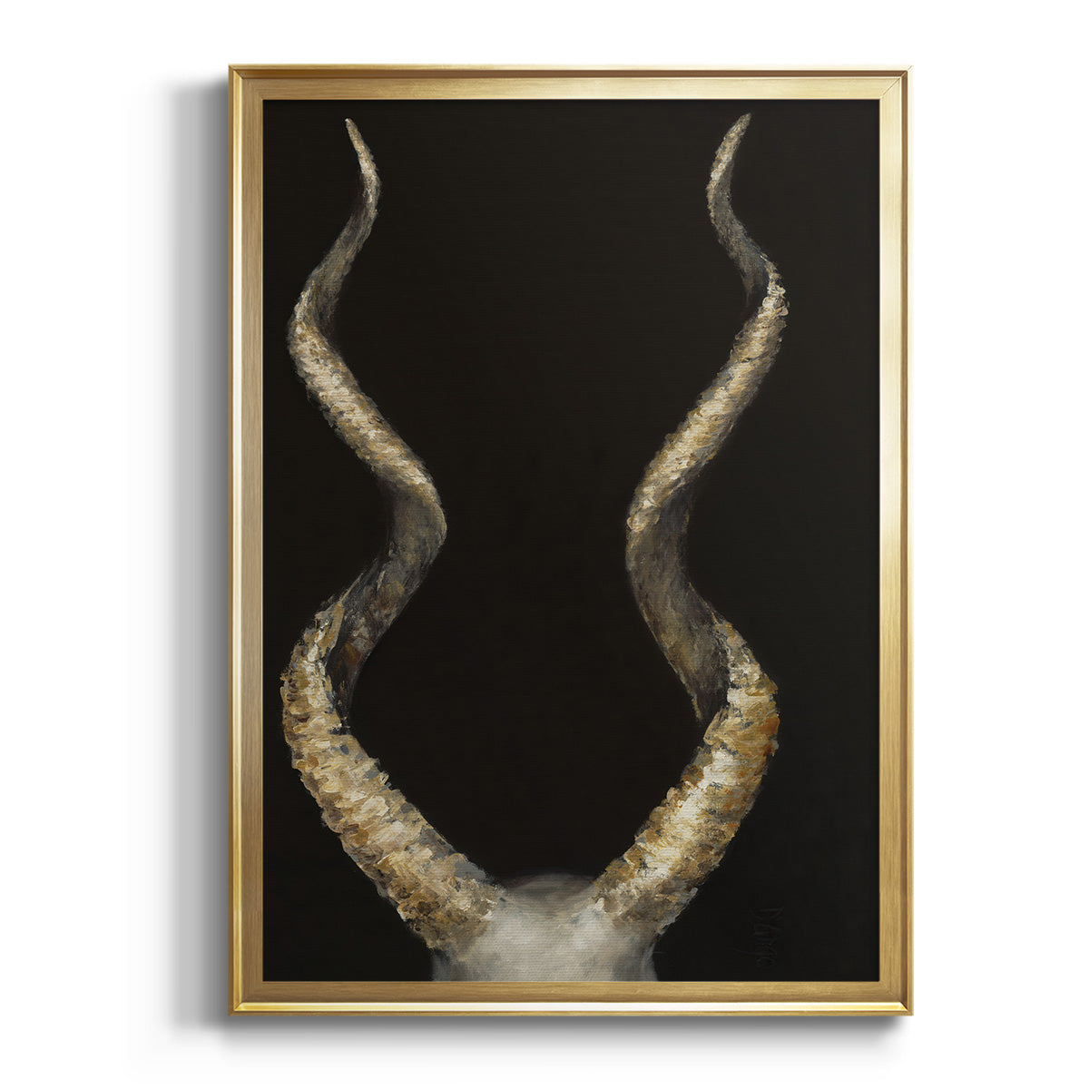 Spiral Antelope Horns -  Framed Canvas Print