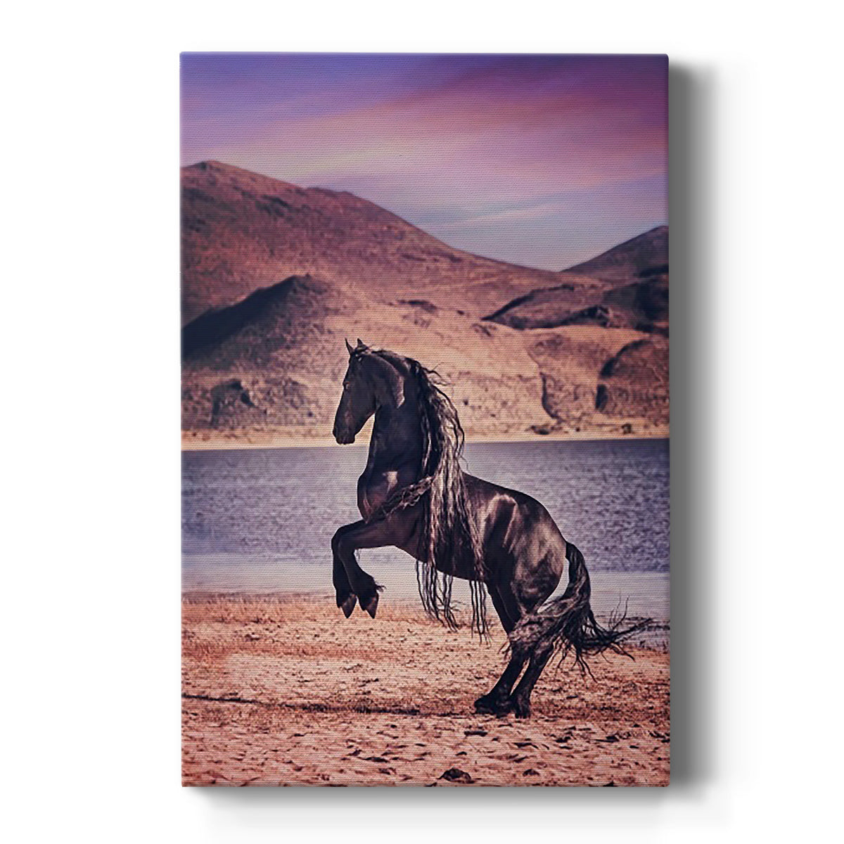 Sunlit Horses II Premium Gallery Wrapped Canvas - Ready to Hang