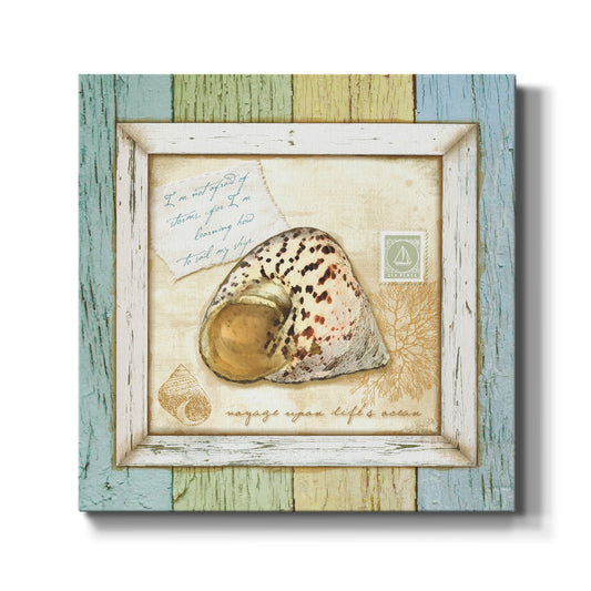 Sea Treasures II-Premium Gallery Wrapped Canvas - Ready to Hang