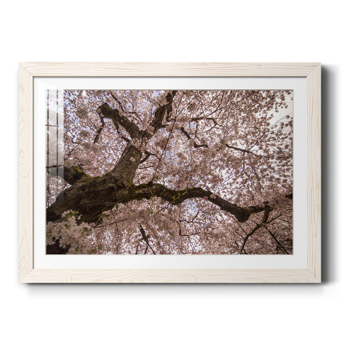 Spring's Arrival - Barnwood Framed Art Print