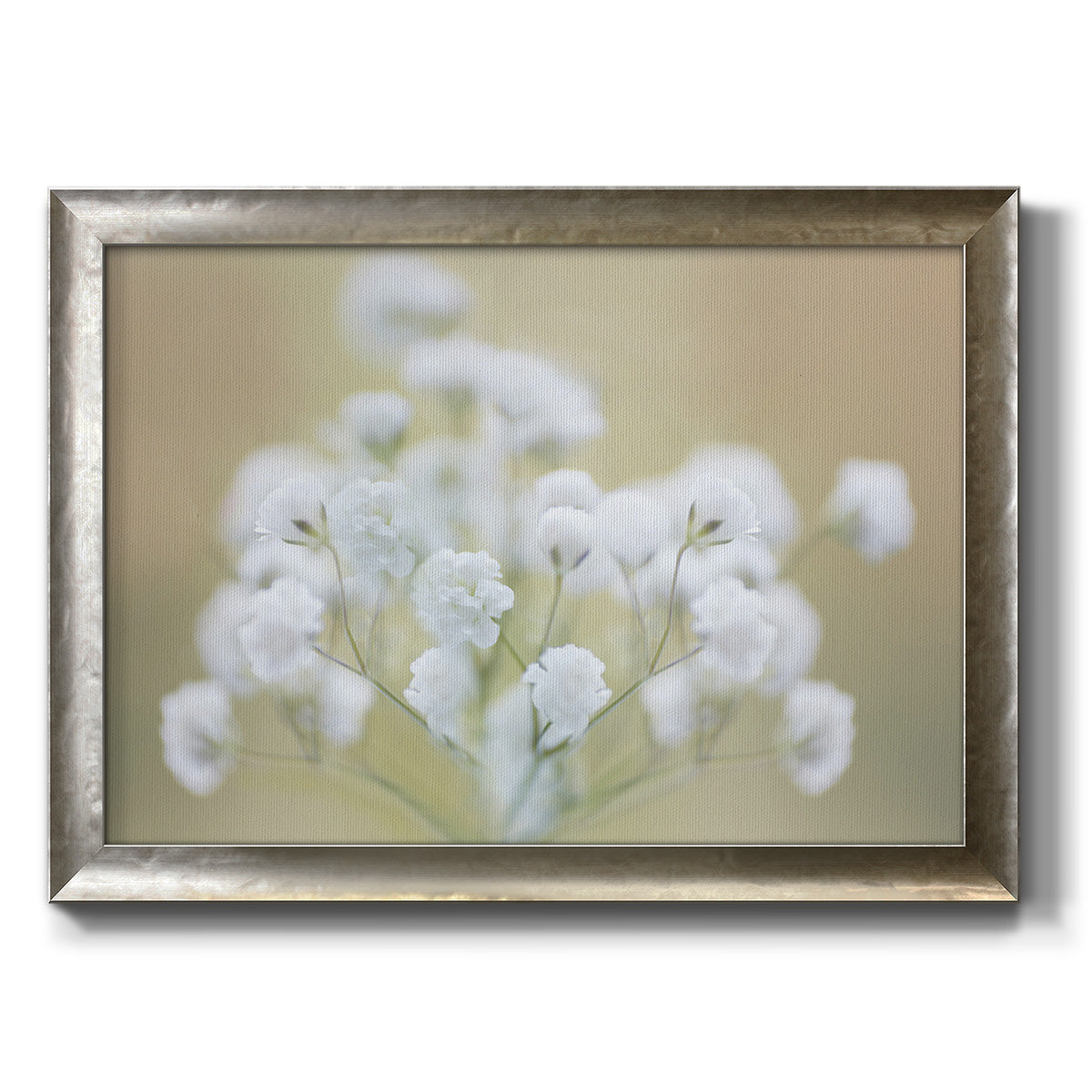 Baby's Breath Study I Premium Framed Canvas- Ready to Hang