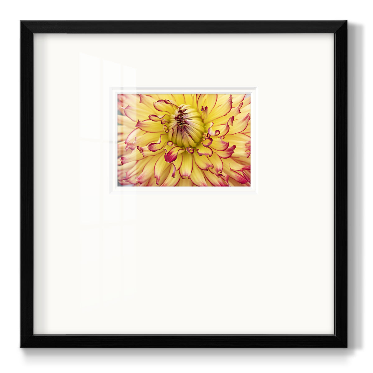 Blooms II- Premium Framed Print Double Matboard