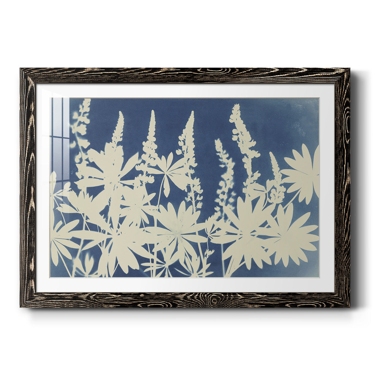 Lovely Lupine - Barnwood Framed Art Print
