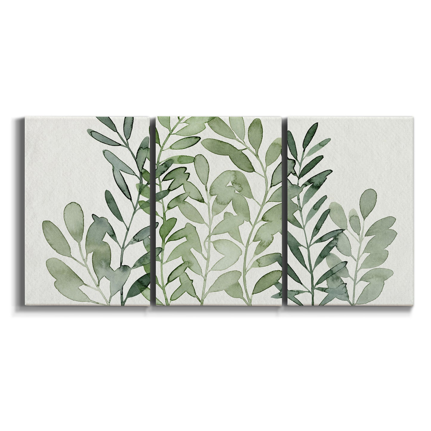 Three-panel canvas wall art featuring foraged leafy greens botanical study on white background.