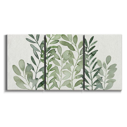Three-panel canvas wall art featuring foraged leafy greens botanical study on white background.