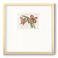 Amaryllis Varietals IV Premium Framed Print Double Matboard