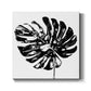 Monochrome Tropic V - Canvas Art Print