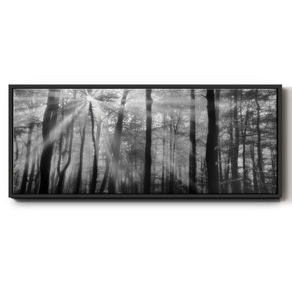 Breaking Through - Floater Framed Canvas Print