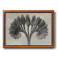 Vintage botanical plant study photograph by Karl Blossfeldt printed on canvas in an ornate vintage burl wood frame.