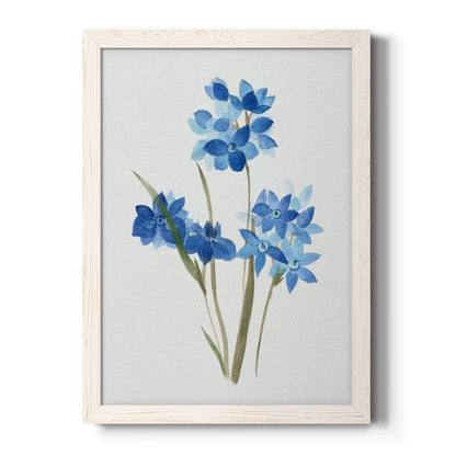 Blue Blossom Botanical I - Barnwood Framed Canvas Print