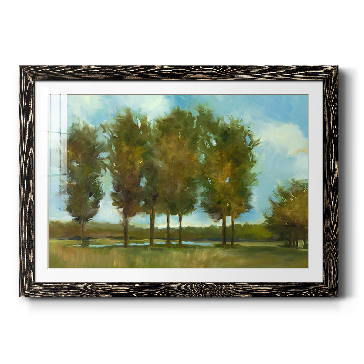 Tall Trees - Barnwood Framed Art Print