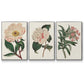 Pink Floral Mix VI - Framed Premium Gallery Wrapped Canvas L Frame 3 Piece Set - Ready to Hang