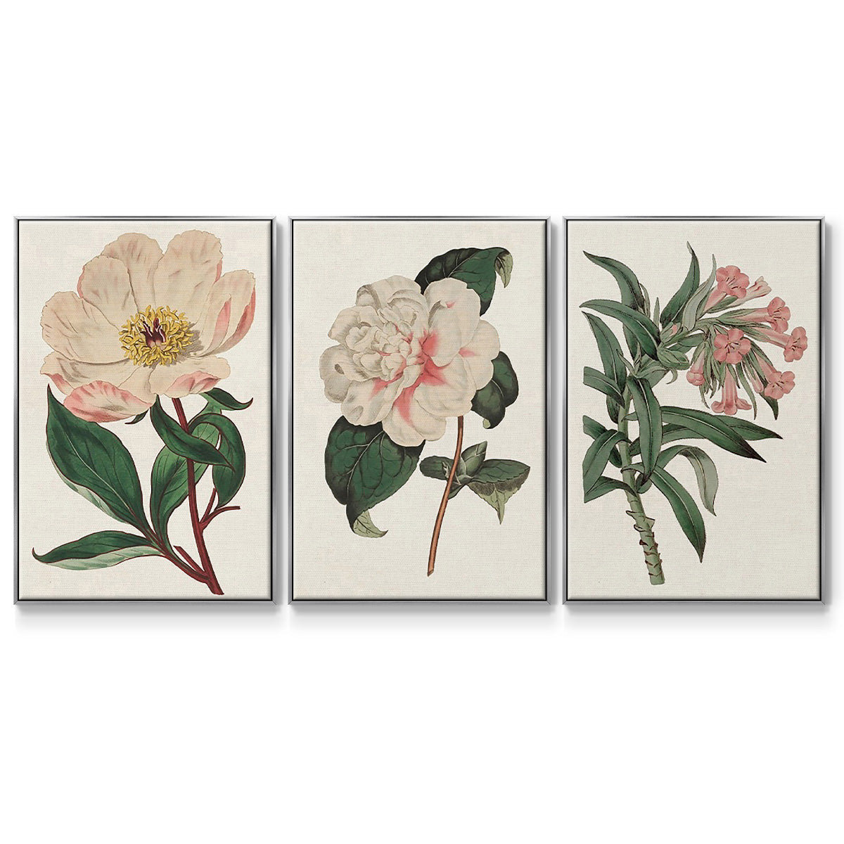 Pink Floral Mix VI - Framed Premium Gallery Wrapped Canvas L Frame 3 Piece Set - Ready to Hang