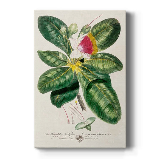 Imperial Tropical Botanical I - Canvas Art Print