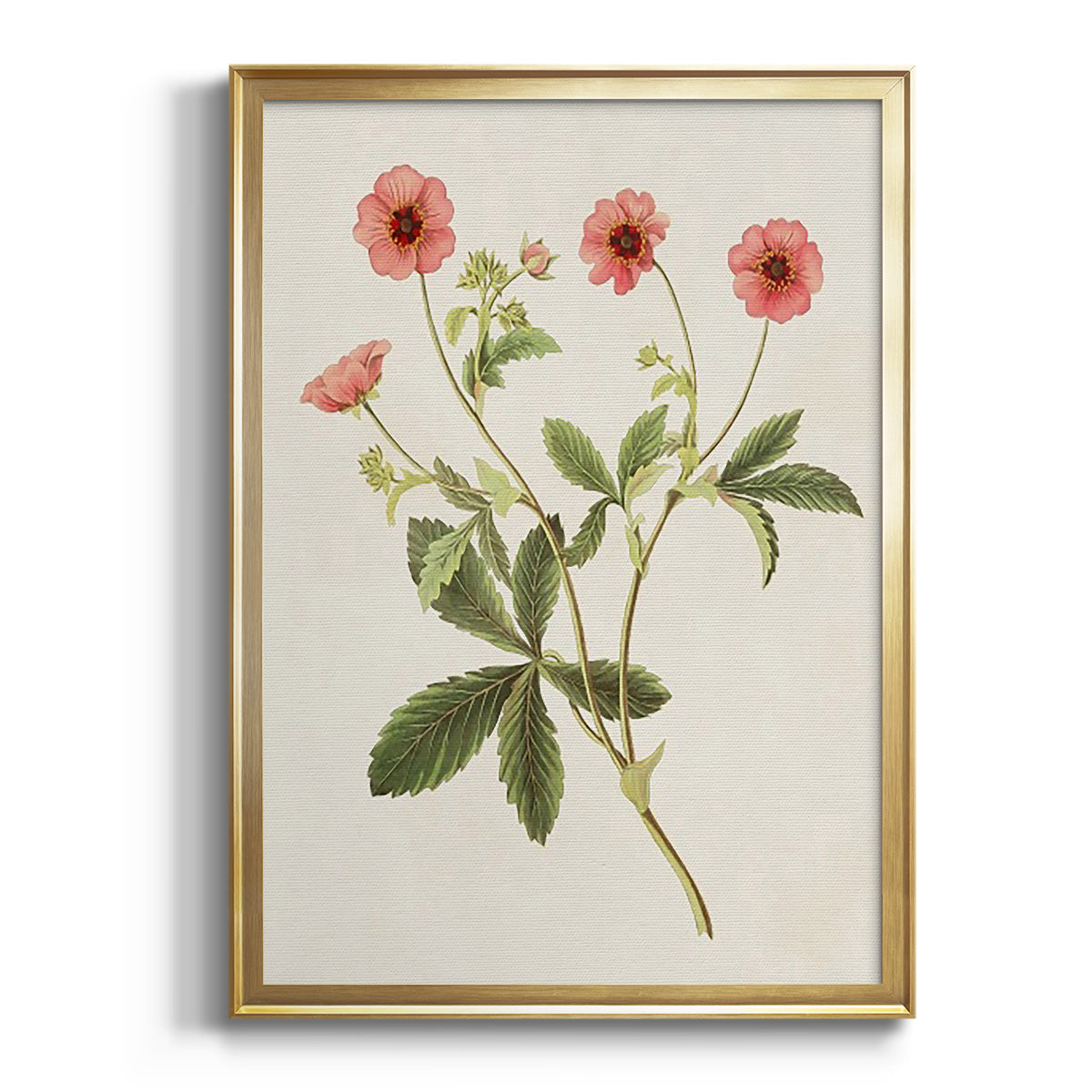 Flowers of the Seasons VIII - Modern Framed Canvas Print