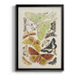 Antique Moths I - Modern Framed Canvas Print