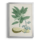 Buchoz Tropicals IV - Modern Framed Canvas Print