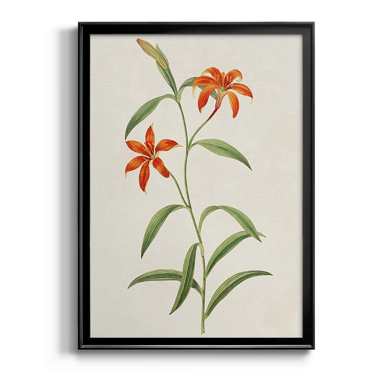 Flowers of the Seasons III - Modern Framed Canvas Print