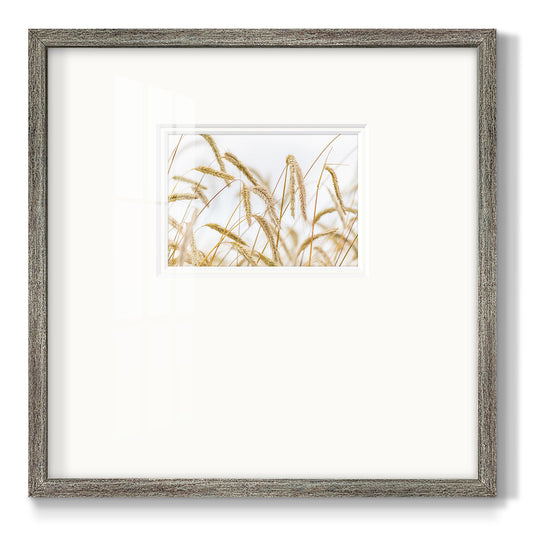 Wheat - Double Matboard Framed Print