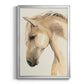 Golden Palomino II - Modern Framed Canvas Print