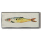 Fanciful Fish I - Floater Framed Canvas Print