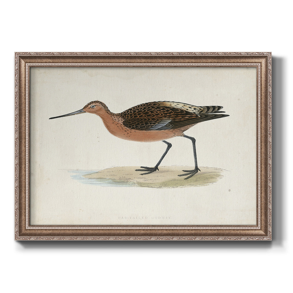 Morris Sandpipers II Premium Framed Canvas- Ready to Hang