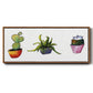 Vibing Succulents I - Floater Framed Canvas Print