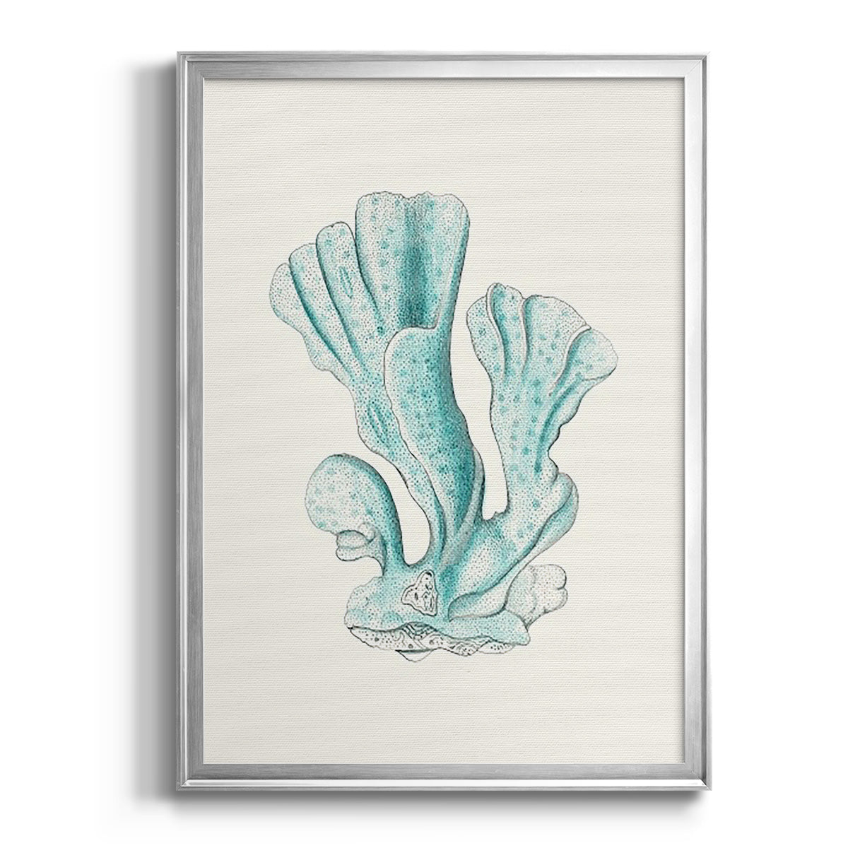 Antique Coastal Coral XI - Modern Framed Canvas Print