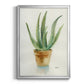 Succulent IV - Modern Framed Canvas Print