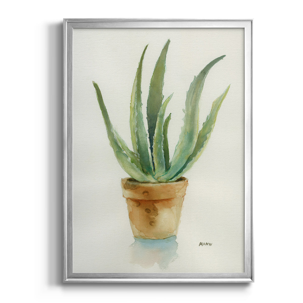 Succulent IV - Modern Framed Canvas Print