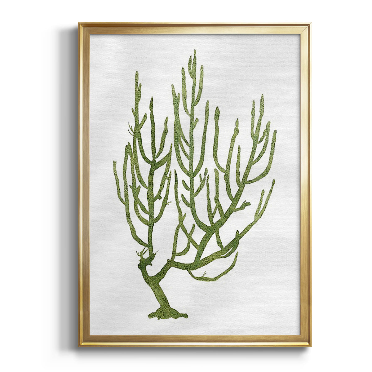 Coral Souvenirs III - Modern Framed Canvas Print