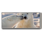 Polar Bear Kiss - Floater Framed Canvas Print