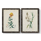 Traditional Botanical III - Barnwood Framed Canvas Set