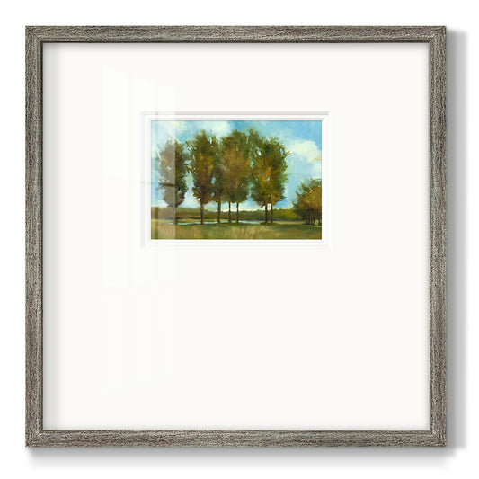 Tall Trees   Premium Framed Print Double Matboard