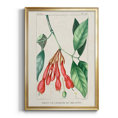 Turpin Tropical Botanicals I - Modern Framed Canvas Print