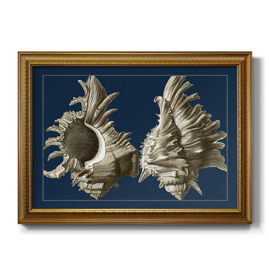 Conch Shells on Navy II - Ornate Framed Canvas Print