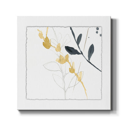 Branch Contours VII - Canvas Art Print