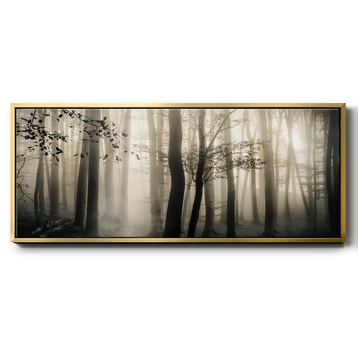 Light is Always There - Floater Framed Canvas Print
