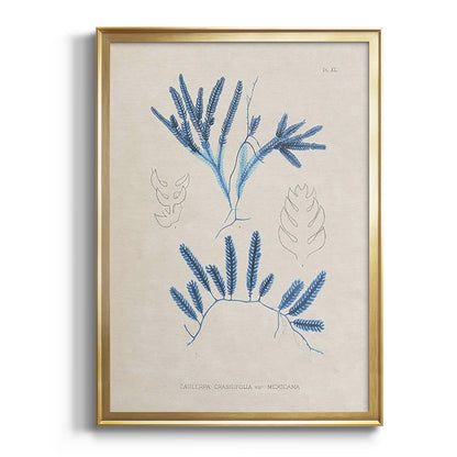 Blue Marine Algae I - Modern Framed Canvas Print