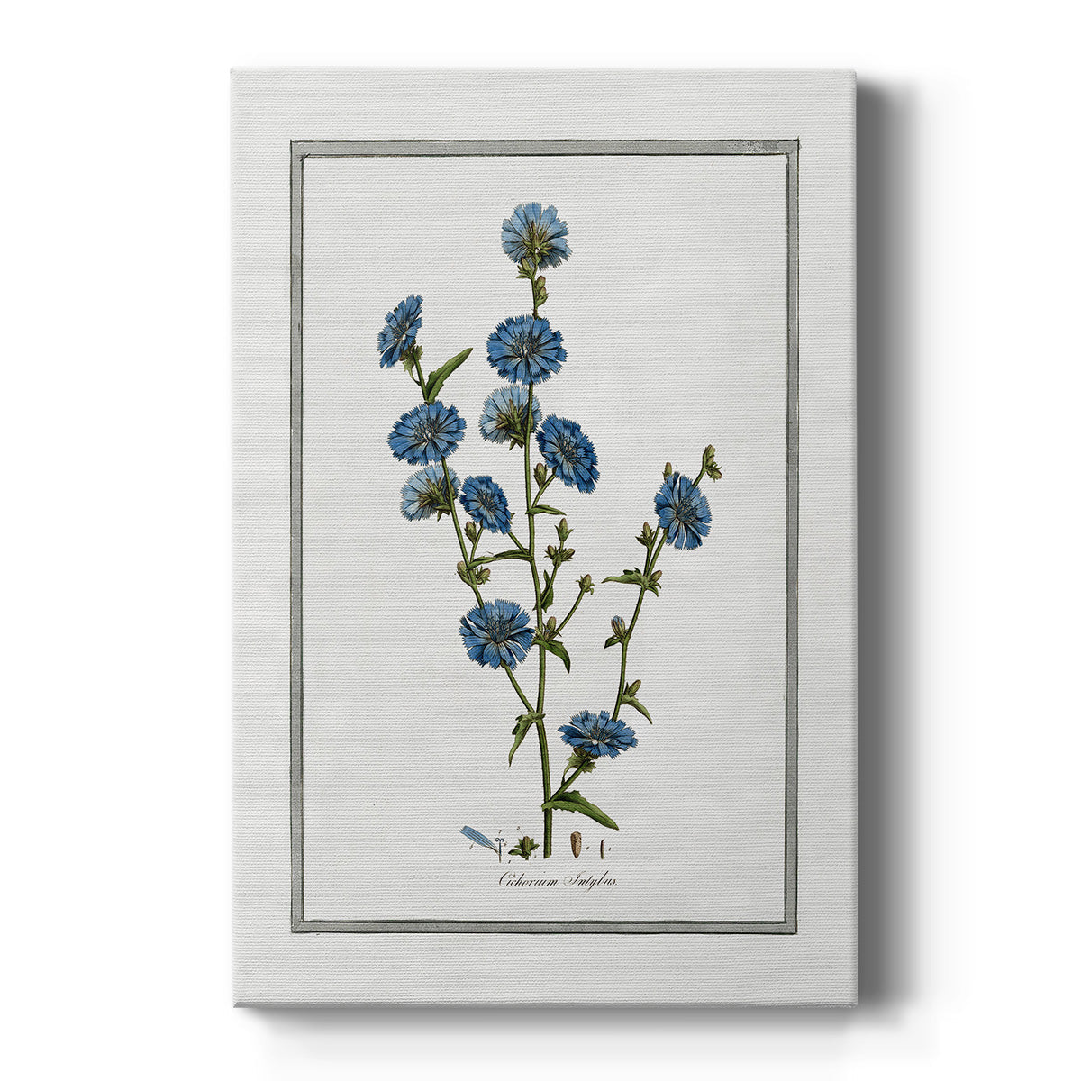 Soft Botanical I Premium Gallery Wrapped Canvas - Ready to Hang