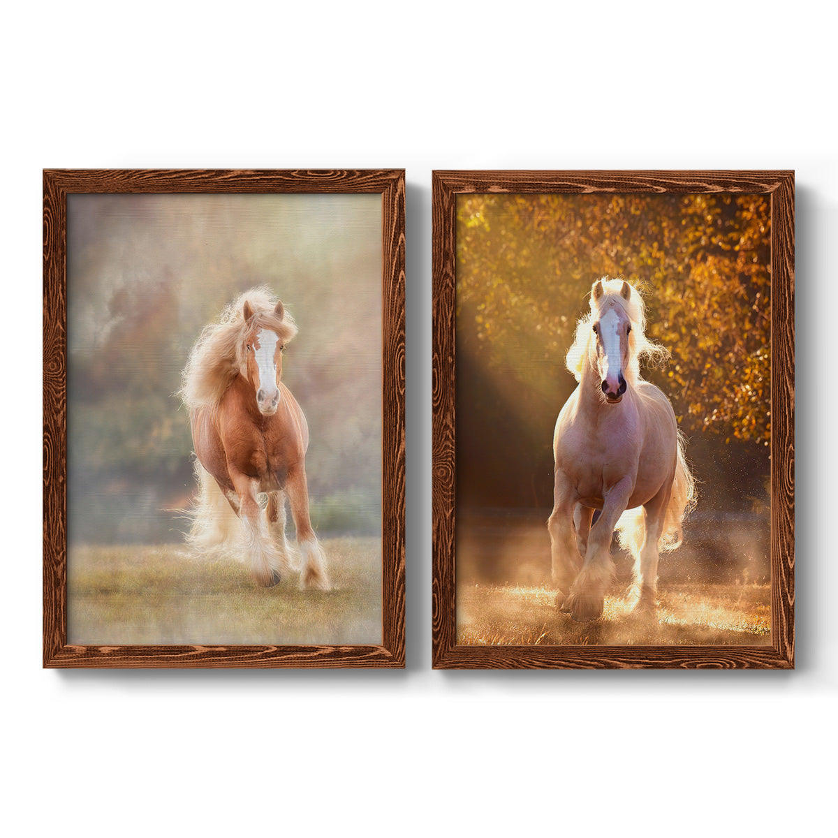 Horse Motion VII - Premium Framed Canvas 2 Piece Set - Ready to Hang