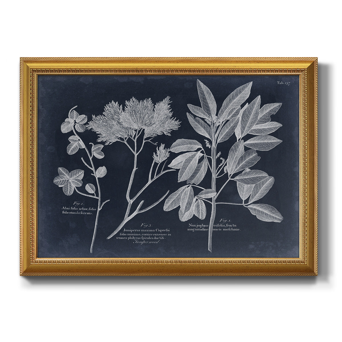 Foliage on Navy VI Premium Framed Canvas- Ready to Hang