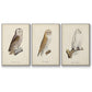 French Owls IV - Floater Framed Canvas Set