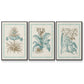 Willow Blue Besler I - Floater Framed Canvas Set