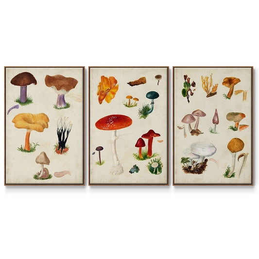 Mushroom Species VI - Floater Framed Canvas Set