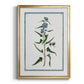 Shabby Chic Botanical I - Modern Framed Canvas Print